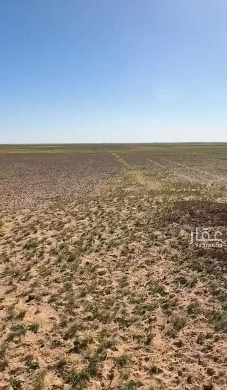 مزرعة للبيع في شارع الاجفر, حي الخوير, مدينة الخوير, منطقة حائل صورة 3