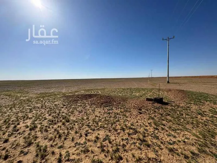 مزرعة للبيع في شارع شارع 50 مت, حي الخوير, مدينة الخوير, منطقة حائل صورة 3