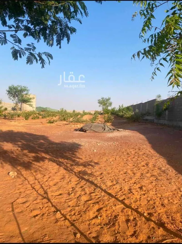 مزرعة للإيجار في شارع هجره الذيبيه وخضراء 503, حي هجره الذيبيه وخضراء, مدينة هجره الذيبيه وخضراء, منطقة الرياض صورة 3