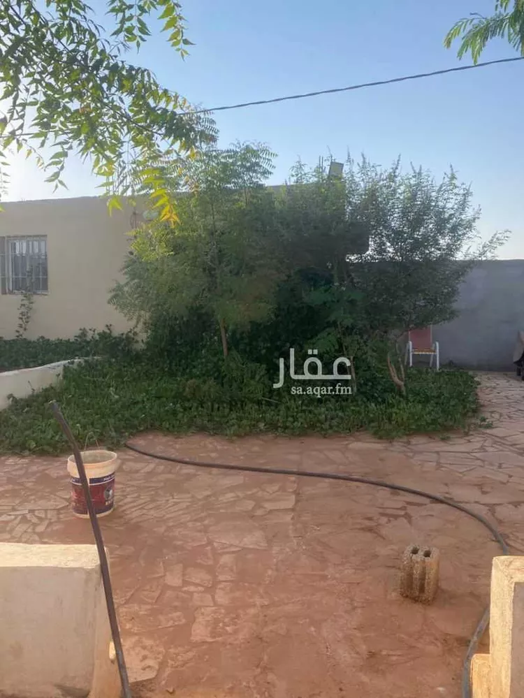 مزرعة للإيجار في شارع هجره الذيبيه وخضراء 503, حي هجره الذيبيه وخضراء, مدينة هجره الذيبيه وخضراء, منطقة الرياض صورة 4