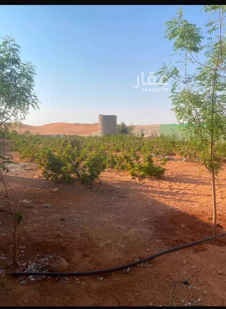 مزرعة للإيجار في شارع هجره الذيبيه وخضراء 503, حي هجره الذيبيه وخضراء, مدينة هجره الذيبيه وخضراء, منطقة الرياض صورة 2