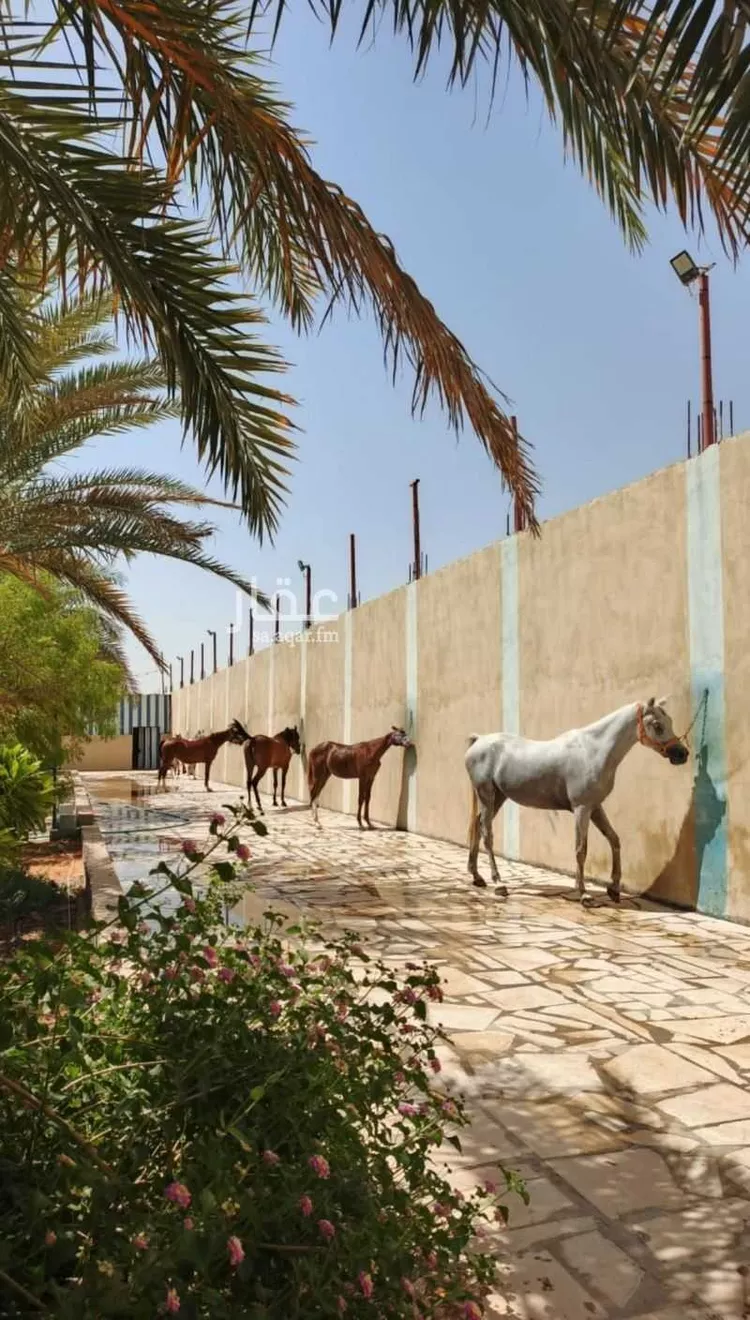 مزرعة للبيع في شارع هوذه بن الحارث ، السهباء ، الخرج صورة 5