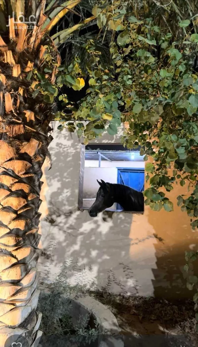 مزرعة للبيع في شارع هوذه بن الحارث ، السهباء ، الخرج صورة 2