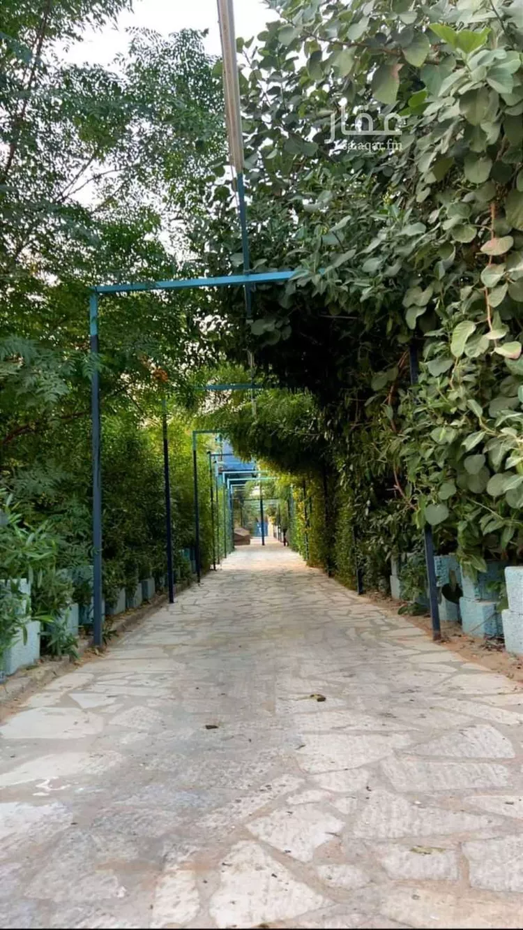 مزرعة للبيع في شارع هوذه بن الحارث ، السهباء ، الخرج صورة 3