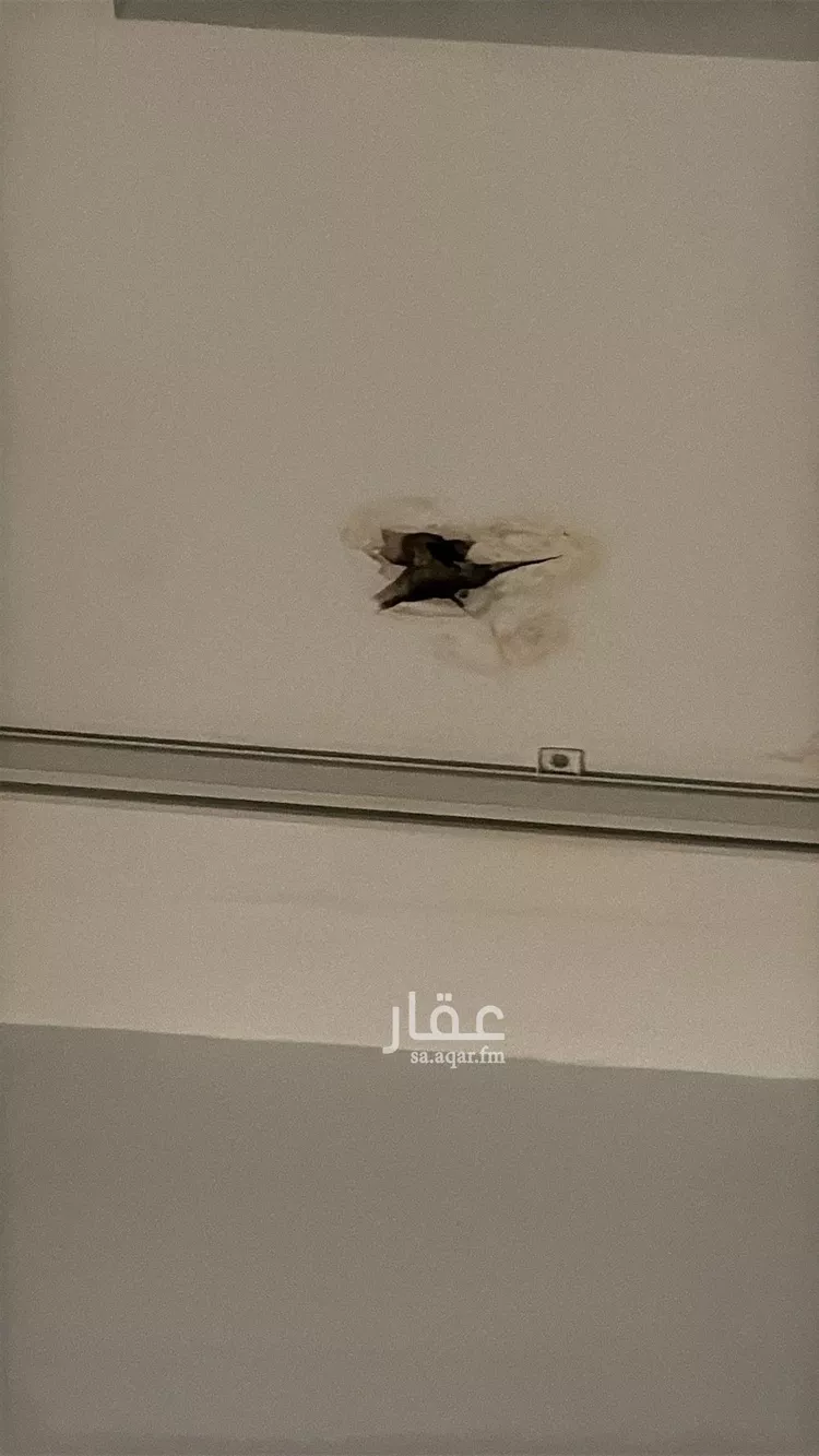 مكتب تجاري للإيجار في شارع طه خصيفان, حي الشاطئ, مدينة جدة, منطقة مكة المكرمة صورة 2