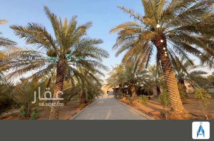 مزرعة للبيع في شارع الحسى 217, حي الحسى, مدينة الحسى, منطقة الرياض صورة 5