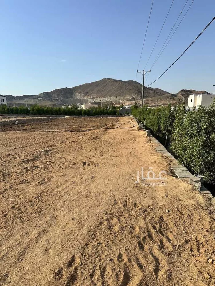 أرض للبيع في شارع عبدالله بن قره الهذلي رضي الله عنه, حي جعرانة, مدينة مكة المكرمة, منطقة مكة المكرمة 7