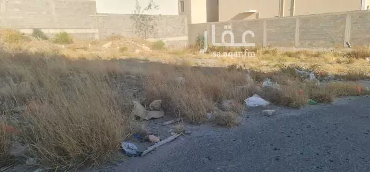 أرض للبيع في شارع 191 الزهور, حي الزهور, مدينة ابها, منطقة عسير صورة 2