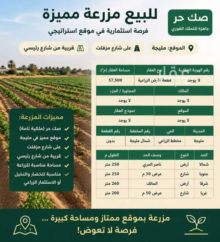 Land for Sale in Nairyah Al Faisaliah