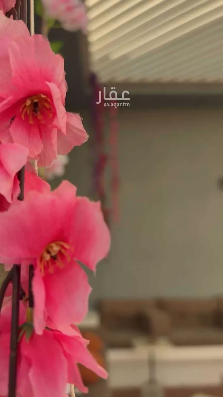شاليه واستراحة للحجز في شارع الحزم ، حي النور ، جدة ، جدة 10