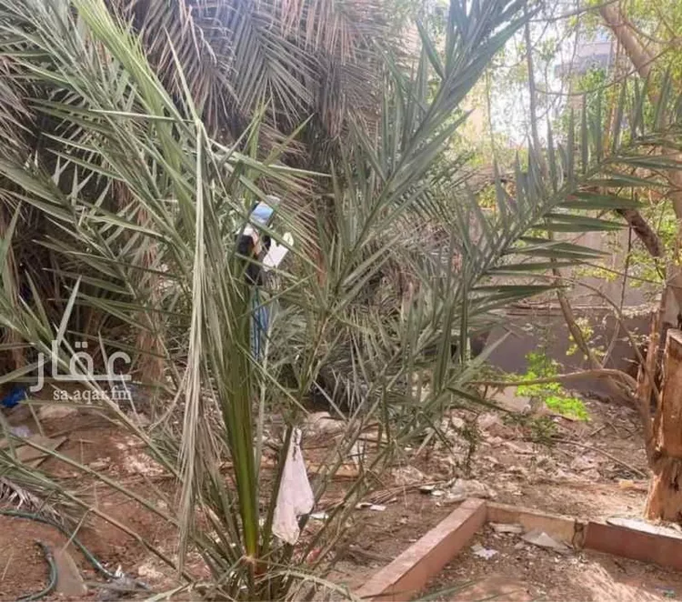 فيلا للبيع في شارع أبي المكارم البهاء, حي الملز, مدينة الرياض, منطقة الرياض صورة 5