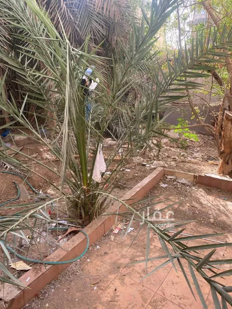 فيلا للبيع في شارع أبي المكارم البهاء, حي الملز, مدينة الرياض, منطقة الرياض صورة 4