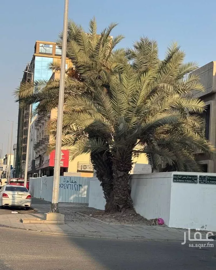 أرض للبيع في شارع صاري فرعي, حي الروضة, مدينة جدة, منطقة مكة المكرمة صورة 3