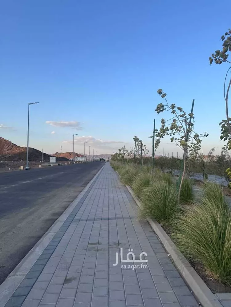 أرض للبيع في شارع محمد بن زيد, حي الزهرة, مدينة المدينة المنورة, منطقة المدينة المنورة