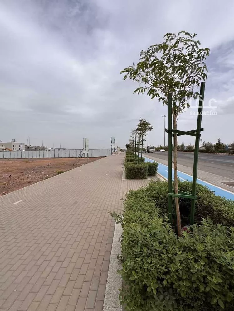 أرض للبيع في شارع طريق علي بن ابي طالب, حي وادي مذينب, مدينة المدينة المنورة, منطقة المدينة المنورة صورة 5