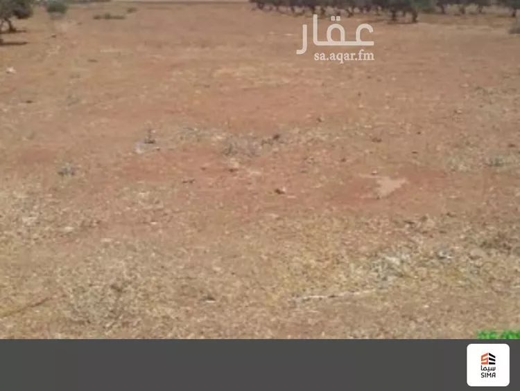 أرض للبيع في شارع عبد الله بن صفوان(رضي الله عنه), حي بلدة ذهبان, مدينة جدة, منطقة مكة المكرمة