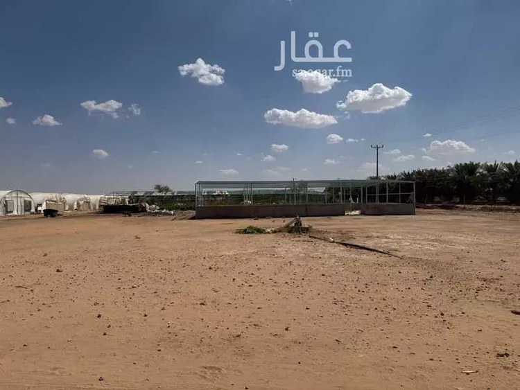 مزرعة للبيع في شارع المعدا , مدينة الضلفعه, منطقة القصيم صورة 4