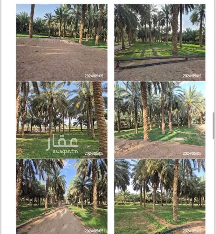 مزرعة للبيع في مدينة زميقه, منطقة الرياض صورة 3