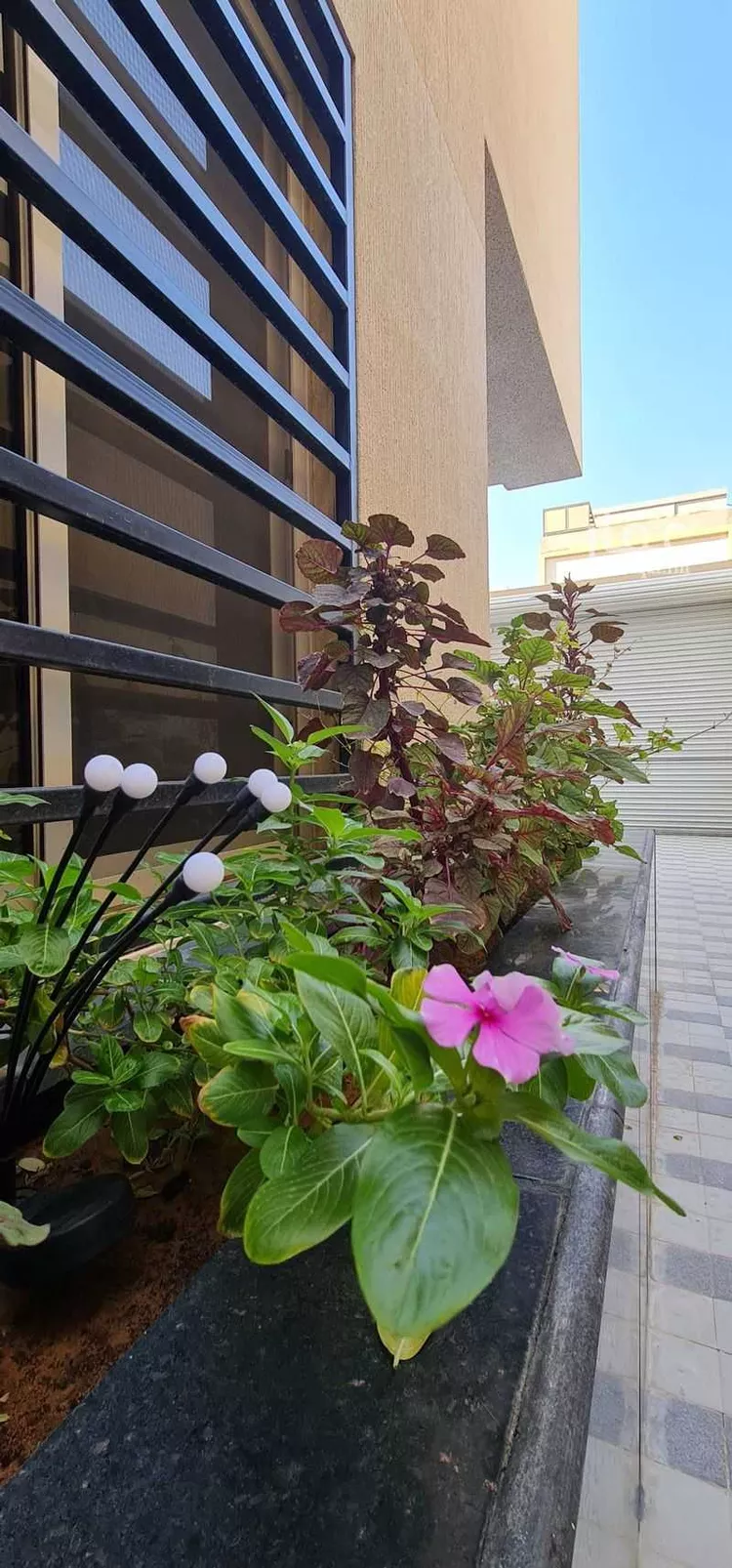 دور للإيجار في شارع رقم 181, حي الياسمين, مدينة الرياض, منطقة الرياض