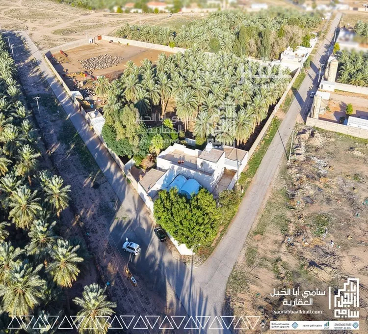 مزرعة للبيع في شارع شارع, مدينة امهات الذيابه, منطقة القصيم صورة 3