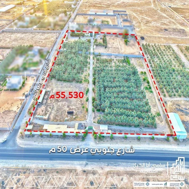 مزرعة للبيع في شارع طريق الامير فيصل بن مشعل بن سعود بن عبدالعزيز, مدينة البكيريه, منطقة القصيم صورة 3