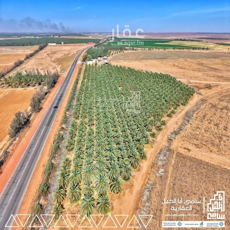 مزرعة للبيع في شارع شارع, مدينة عيون الجواء, منطقة القصيم صورة 4