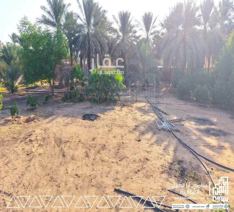 استراحة للبيع في شارع البكيريه 985, مدينة البكيرية, منطقة القصيم صورة 4