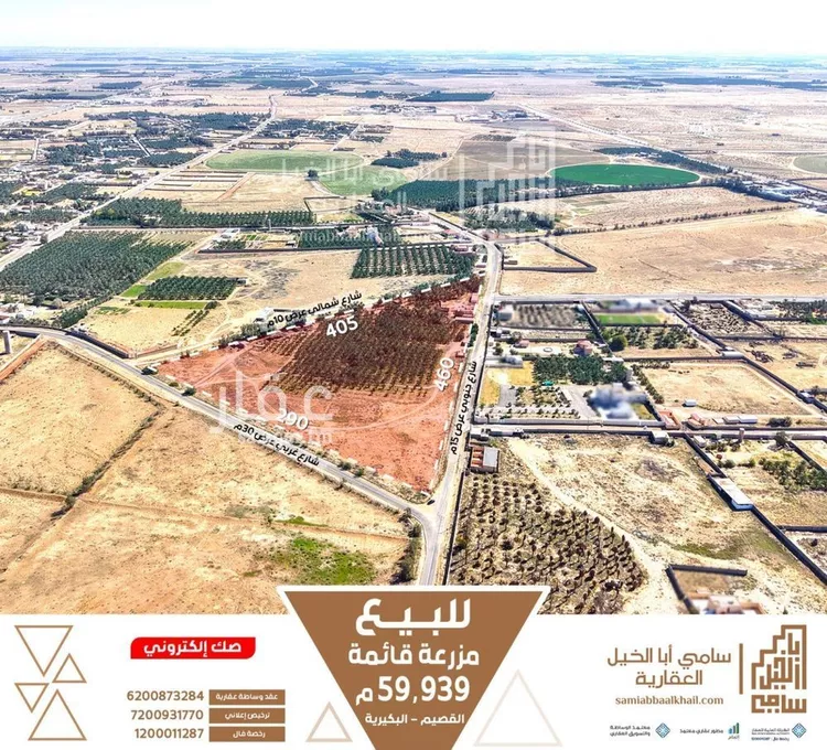 Farm for Sale in Al Bukayriyah Al Balad Al Qadim صورة 2