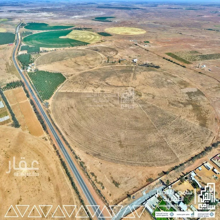 مزرعة للبيع في شارع شارع, مدينة عيون الجواء, منطقة القصيم صورة 4