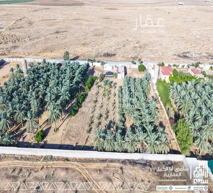 استراحة للبيع في شارع البكيريه 967, مدينة البكيرية, منطقة القصيم صورة 5