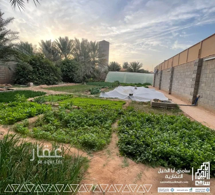 استراحة للبيع في شارع محمد بن الحنفيه, حي الصفاء, مدينة البكيرية, منطقة القصيم صورة 2