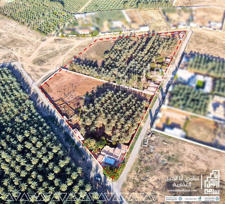 مزرعة للبيع في شارع شارع, مدينة امهات الذيابه, منطقة القصيم صورة 2