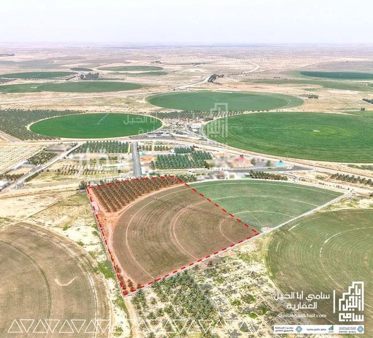 مزرعة للبيع في شارع البدائع 225, مدينة البدائع, منطقة القصيم صورة 4