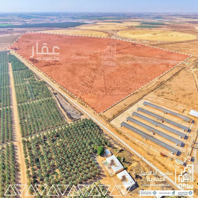 مزرعة للبيع في شارع شارع, مدينة عيون الجواء, منطقة القصيم صورة 4