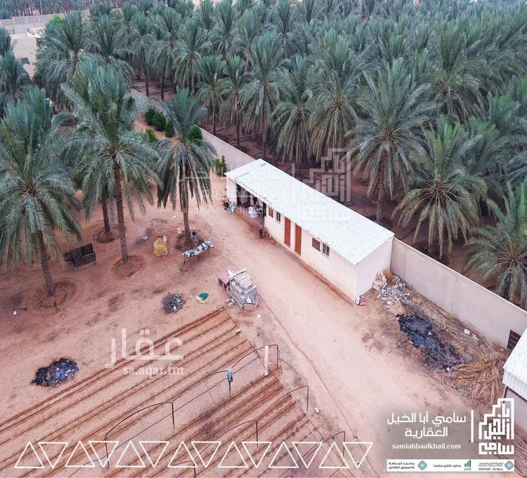 استراحة للبيع في شارع الملك فيصل بن عبد العزيز, حي الصفاء, مدينة البكيرية, منطقة القصيم صورة 3