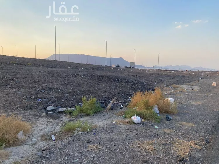 أرض للبيع في شارع المغيره بن عبدالرحمن بن الحارث, حي الجصة, مدينة المدينه المنوره, منطقة المدينة المنورة صورة 2