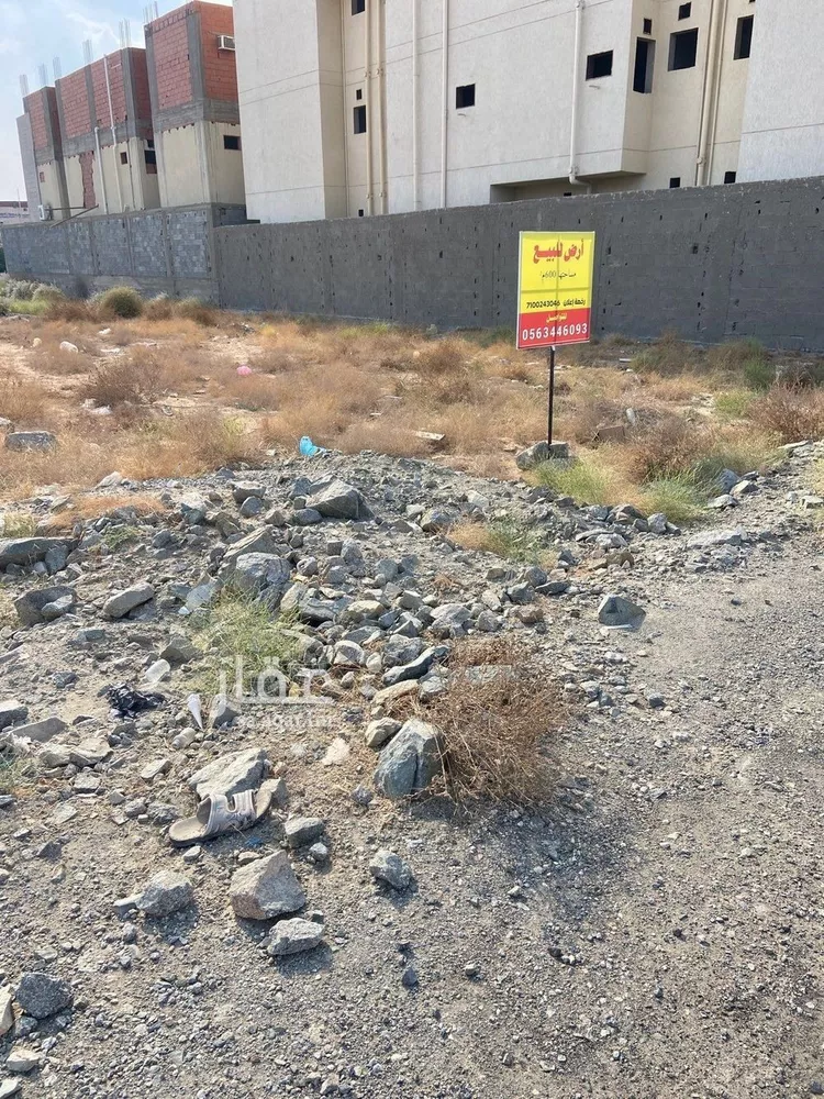 أرض للبيع في شارع أحمد بن مطرف, حي حارة الباب الجديد, مدينة مكة المكرمة, منطقة مكة المكرمة صورة 2