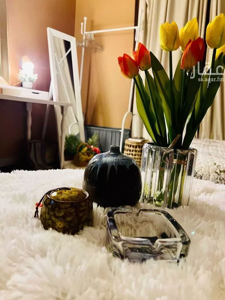 Furnished Apartment for Booking in Riyadh Ghirnatah 9