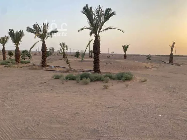 أرض للإيجار في حي حلوان, مدينة حلوان, منطقة الرياض
