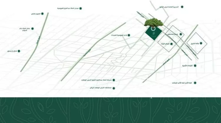 undefined صورة 2