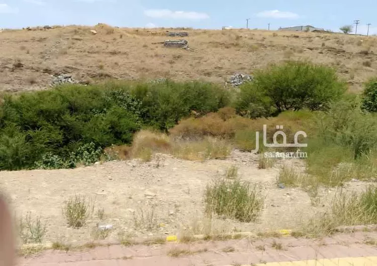 مزرعة للبيع في شارع الملك عبدالعزيز (العام الطائف -الباحه), مدينة محويه, منطقة الباحة صورة 2