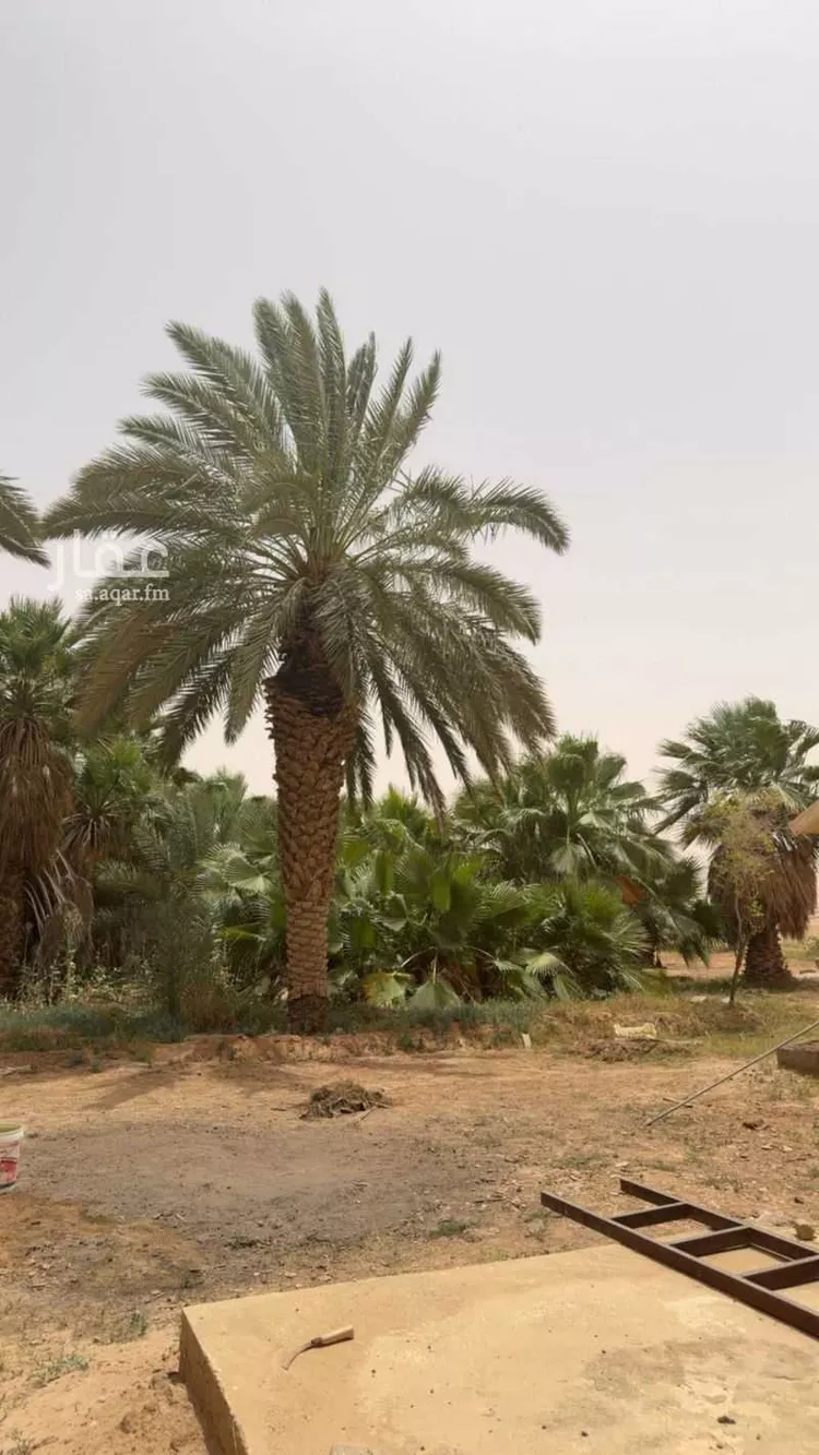 Farm for Sale in Al Muzahimiyah Al GhatGhat