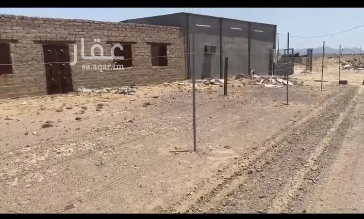 مزرعة للبيع في حي المليليح, مدينة المدينه المنوره, منطقة المدينة المنورة صورة 3