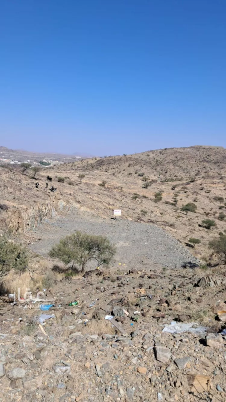 أرض للبيع في حي الجزيرة, مدينة الجنابين, منطقة الباحة صورة 4