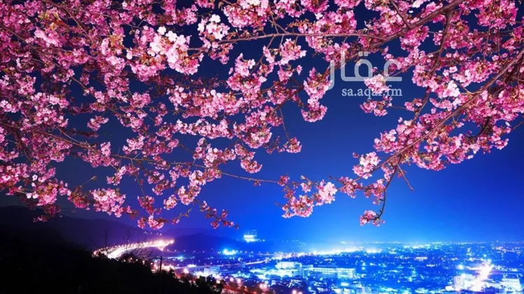 عمارة للبيع في شارع الديوان ، حي الحمراء ، الرياض ، الرياض