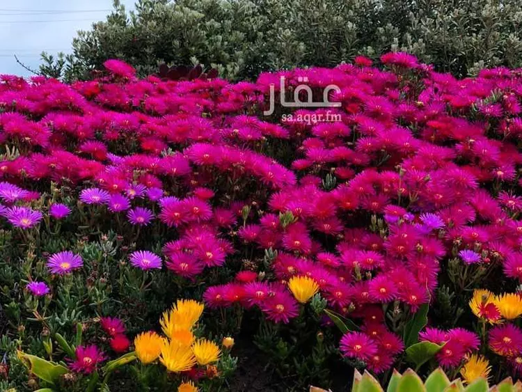 Building for Sale in Riyadh King Abdul Aziz