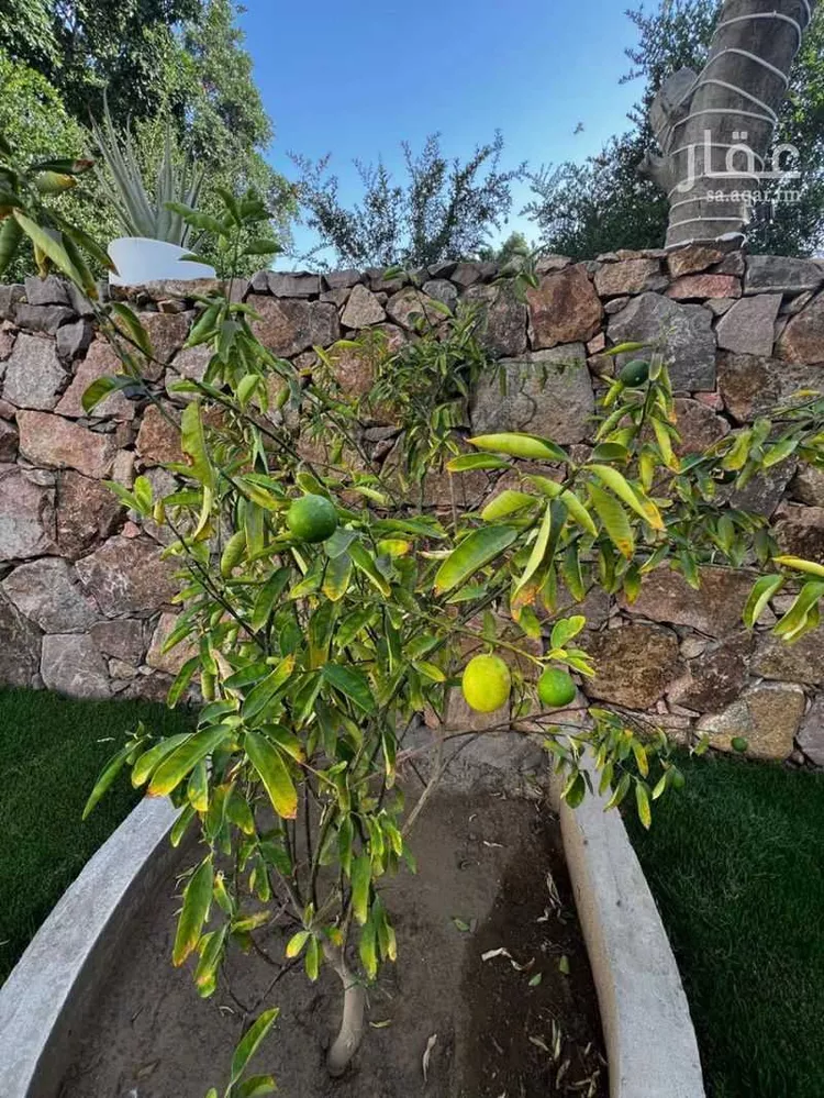 فيلا للبيع في شارع طريق المؤتمرات, حي مسرة, مدينة الطائف, منطقة مكة المكرمة صورة 2