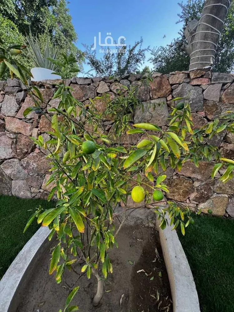 فيلا للبيع في شارع طريق المؤتمرات, حي مسرة, مدينة الطائف, منطقة مكة المكرمة صورة 2