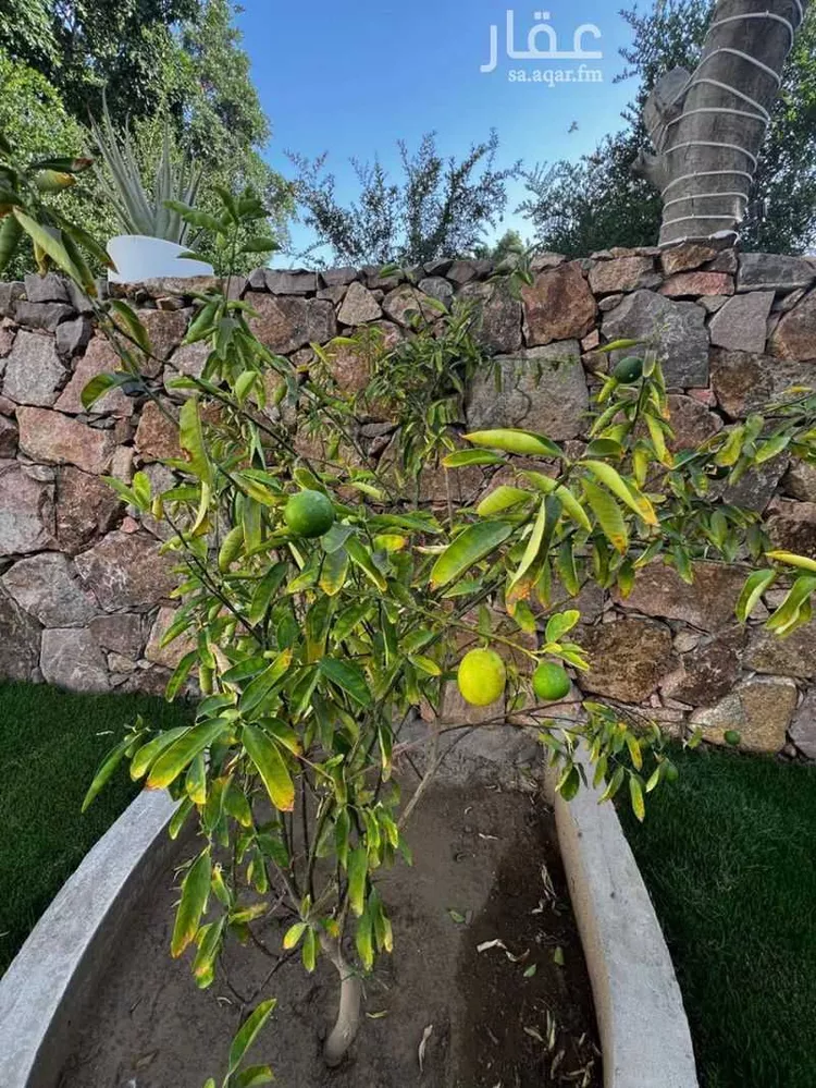 فيلا للبيع في شارع طريق المؤتمرات, حي مسرة, مدينة الطائف, منطقة مكة المكرمة صورة 2