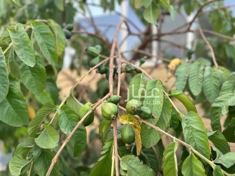 فيلا للبيع في شارع طريق المؤتمرات, حي مسرة, مدينة الطائف, منطقة مكة المكرمة صورة 4